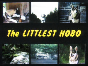 The_littlest_hobo_tv.jpg