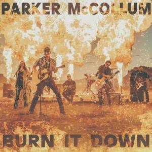 <span class="mw-page-title-main">Burn It Down (Parker McCollum song)</span> 2023 single by Parker McCollum