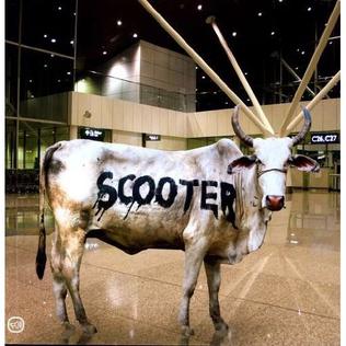 Scooter the Holy Cow