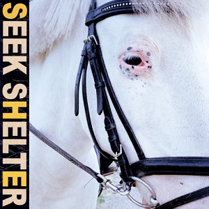 <i>Seek Shelter</i> 2021 studio album by Iceage