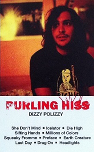 <i>Dizzy Polizzy</i> 2011 compilation album by Purling Hiss