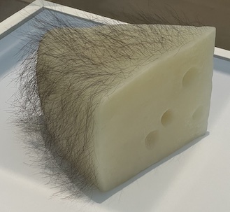 File:Short Haired Cheese, 1992-1993, Robert Gober.jpg