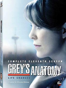 Grey's Anatomy season 11 - Wikipedia