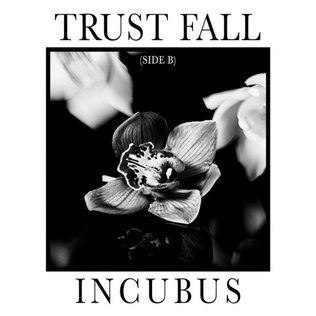 Trust Fall (Side B) - Wikipedia