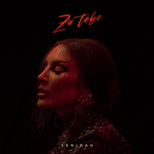 <i>Za Tebe</i> 2022 studio album by Senidah