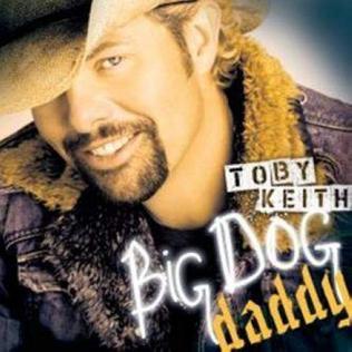 <i>Big Dog Daddy</i> 2007 studio album by Toby Keith