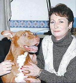 Dempsey (dog) British dog, challenged British Dangerous Dogs Act 1991