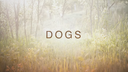 File:Dogs (TV series) Title Card.png