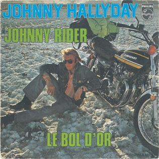 <span class="mw-page-title-main">Johnny Rider</span> 1974 single by Johnny Hallyday