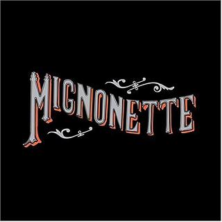 <i>Mignonette</i> (album) 2004 studio album by The Avett Brothers