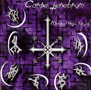 <i>Mirrored Hate Painting</i> 1999 studio album by Carpe Tenebrum