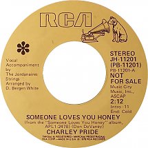 Someone Loves You Honey 1978 single by Charley Pride