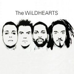 <i>The Wildhearts</i> (album) 2007 studio album by The Wildhearts