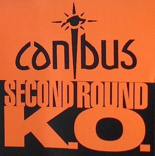 <span class="mw-page-title-main">Second Round K.O.</span> 1998 song by Canibus