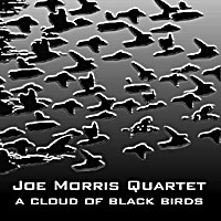 <i>A Cloud of Black Birds</i> 1998 studio album by Joe Morris