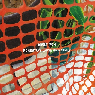 <i>Momentary Lapse of Happily</i> 2015 studio album by Adult Mom