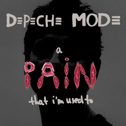 A Pain That Im Used To 2005 single by Depeche Mode