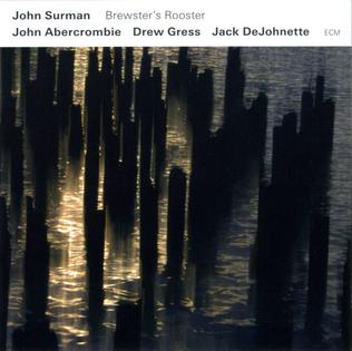 <i>Brewsters Rooster</i> 2009 studio album by John Surman