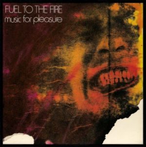 <span class="mw-page-title-main">Fuel to the Fire</span> 1981 single by Music for Pleasure