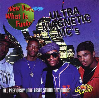 <i>New York What Is Funky</i> 1996 studio album by Ultramagnetic MCs