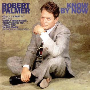 Know by Now 1994 single by Robert Palmer