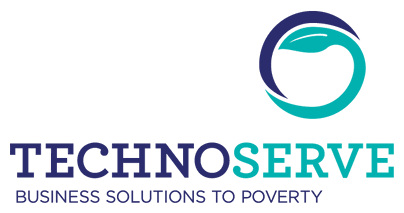 Technoserve business plan