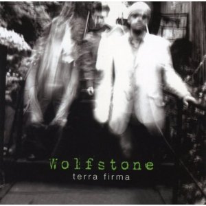 <i>Terra Firma</i> (Wolfstone album) 2007 studio album by Wolfstone