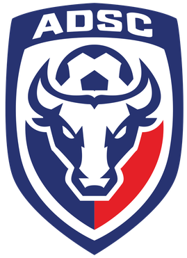 <span class="mw-page-title-main">A.D. San Carlos</span> Association football club in Costa Rica