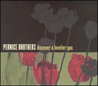 <i>Discover a Lovelier You</i> 2005 studio album by Pernice Brothers