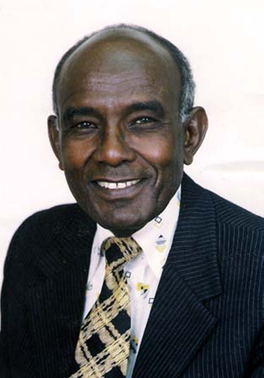 <span class="mw-page-title-main">El Hadi Ahmed El Sheikh</span> Sudanese Professor of Ophthalmology (1933-2009)