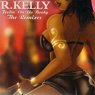 <span class="mw-page-title-main">Feelin' on Yo Booty</span> 2001 song performed by R. Kelly