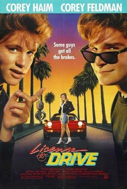 License_to_drive_poster.jpg