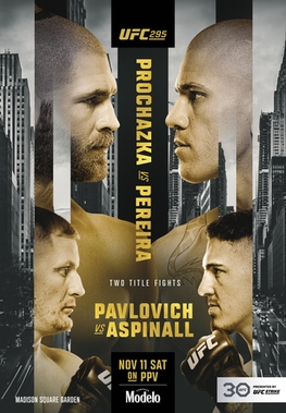 UFC_295_poster.jpg