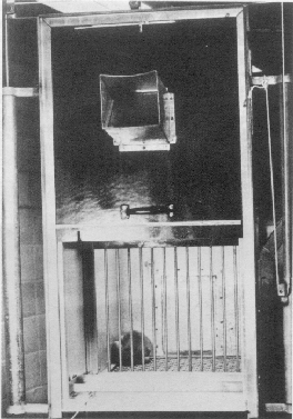 A rhesus monkey infant in one of Harlow's isolation chambers. The photograph was taken when the chamber door was raised for the first time after six months of total isolation.[1]