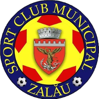 <span class="mw-page-title-main">SCM Zalău</span> Romanian football club