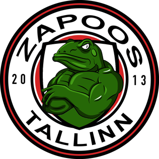 <span class="mw-page-title-main">Tallinna FC Zapoos</span> Estonian football club