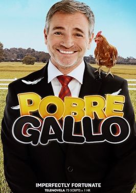 <i>Pobre gallo</i> Chilean TV series or program