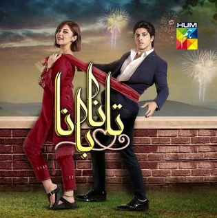 <i>Tanaa Banaa</i> Pakistani TV series or programme