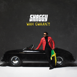<i>Wah Gwaan?!</i> 2019 studio album by Shaggy