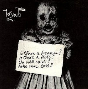 <span class="mw-page-title-main">Victims of the Riddle</span> 1979 single by Toyah