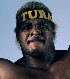 <span class="mw-page-title-main">Butch Reed</span> American professional wrestler (1954–2021)