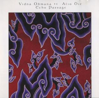 <i>Echo Passage</i> 1999 studio album by Alio Die and Vidna Obmana