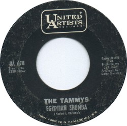 <span class="mw-page-title-main">Egyptian Shumba</span> Song by American girl group the Tammys released in 1963