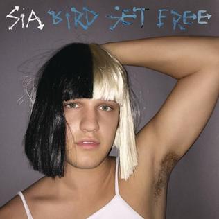 Bird Set Free 2015 promotional single by Sia