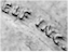 Evro.inscription.engrv.vat.s03.100.jpg