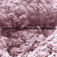 <i>Into the Great Wide Yonder</i> 2010 studio album by Trentemøller