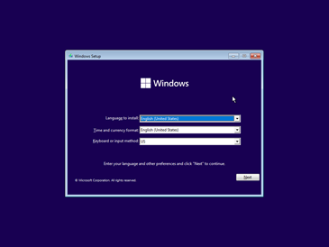 File:Windows 11 Setup.png