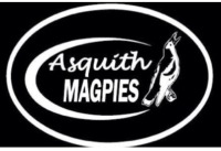 File:Logo of Asquith Magpies.jpg