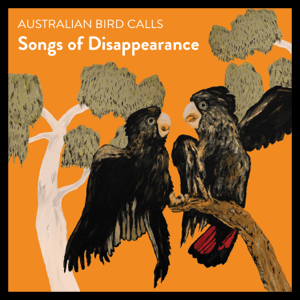 <i>Australian Bird Calls</i> 2021 recording by Songs of Disappearance