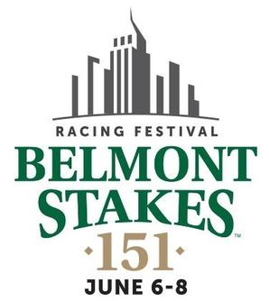 <span class="mw-page-title-main">2019 Belmont Stakes</span> 151st running of the Belmont Stakes